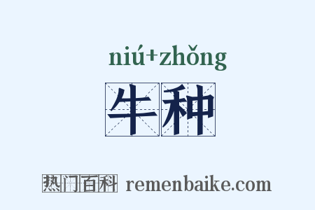 牛种是什么意思的图片